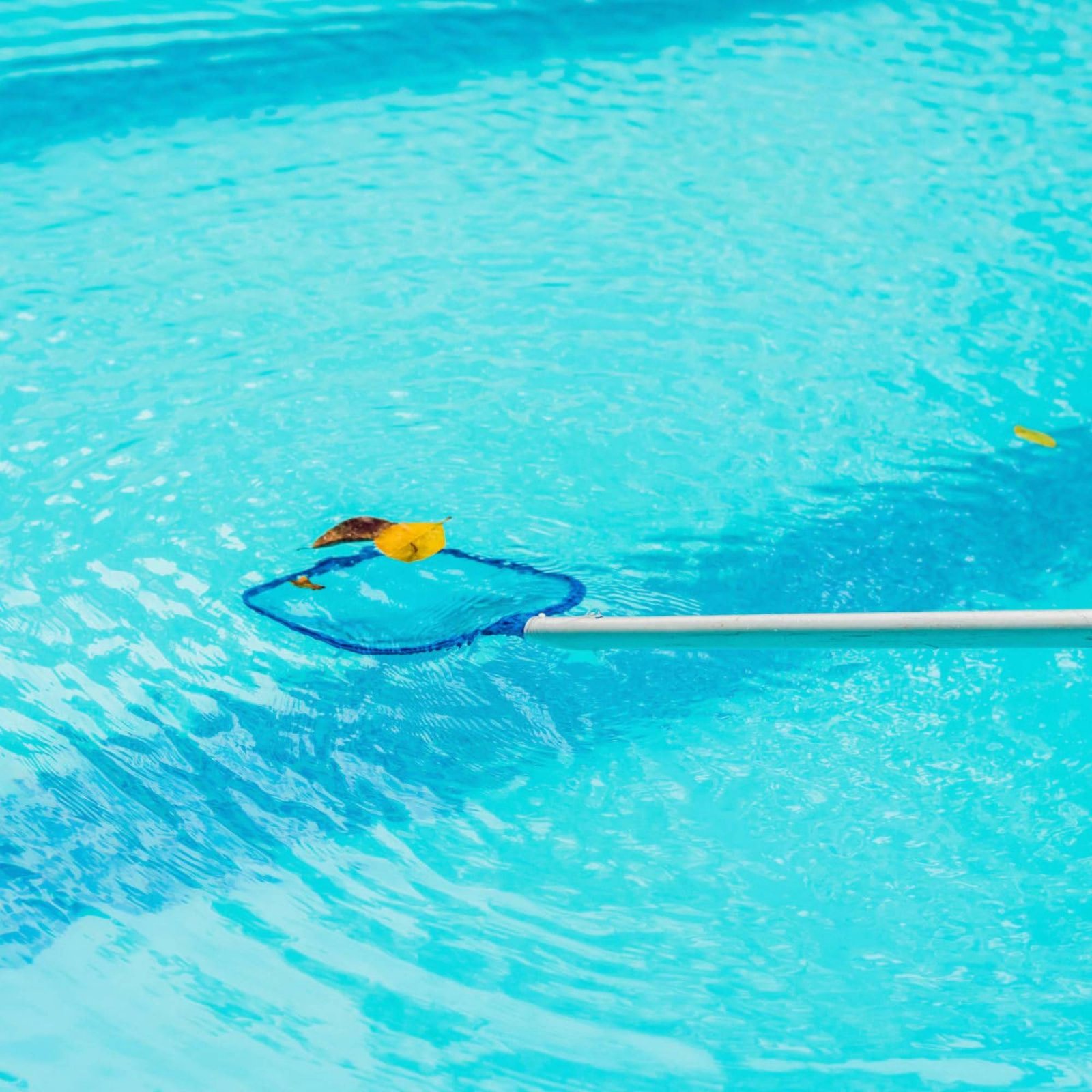 ตาข่ายกรองใบไม้ในสระแบบถอดได้  - Pool Skimmer Net บทวิจารณ์และราคา