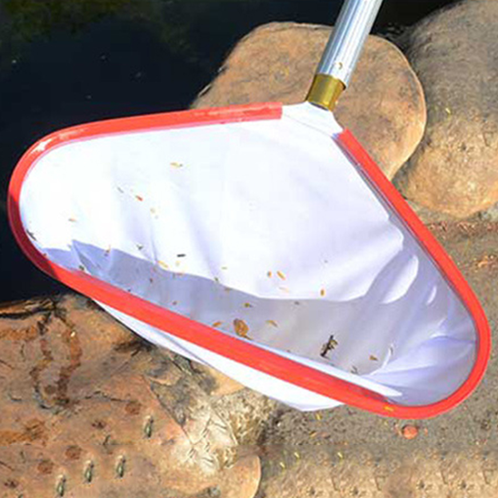 ตาข่ายลงจอดสระว่ายน้ํา ตาข่ายล - Pool Skimmer Net บทวิจารณ์และราคา